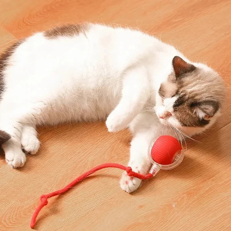 Smart Rolling Cat Ball