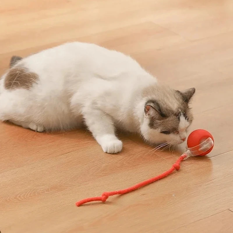 Smart Rolling Cat Ball