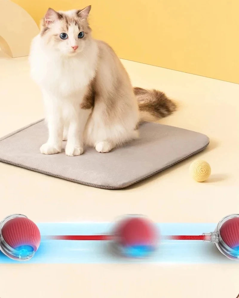 Smart Rolling Cat Ball