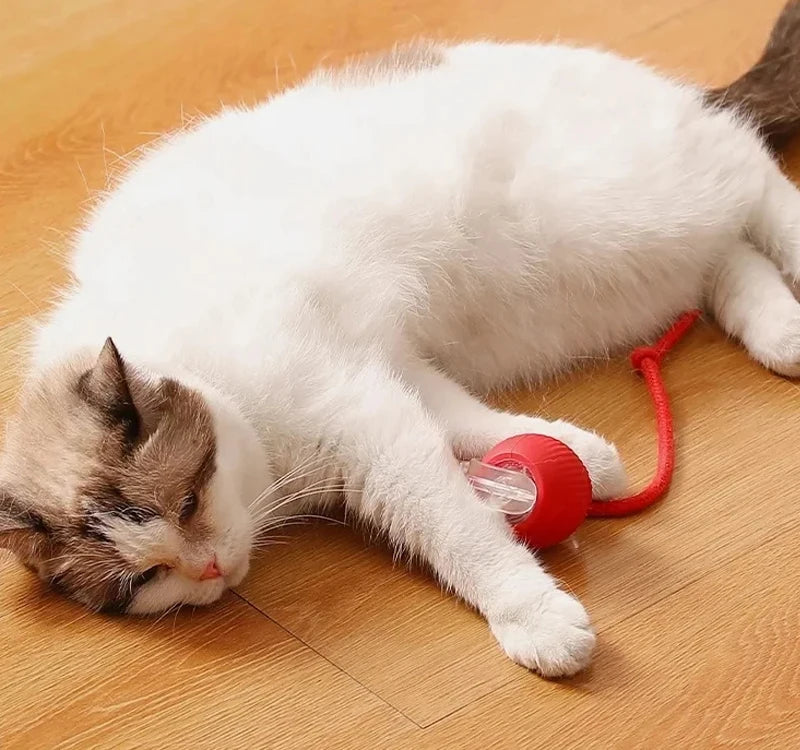 Smart Rolling Cat Ball