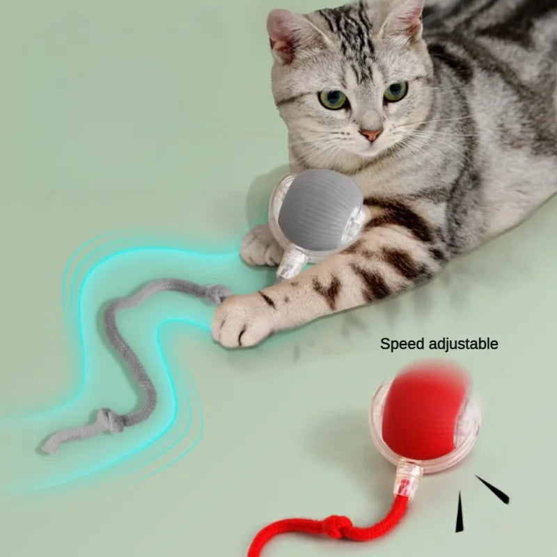 Smart Rolling Cat Ball
